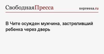 На Сахалин - В Чите осужден мужчина, застреливший ребенка через дверь - svpressa.ru - Забайкальский край - Чита