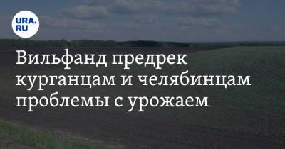 Вильфанд предрек курганцам и челябинцам проблемы с урожаем