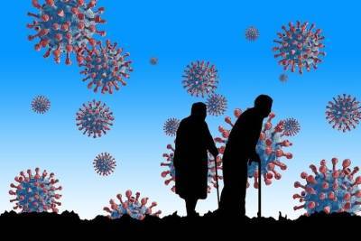 В Карелии по данным на 23 июля 182 заражённых коронавирусом
