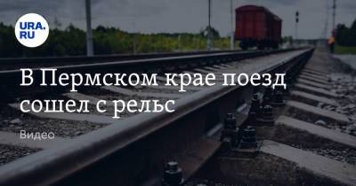 В Пермском крае поезд сошел с рельс. Видео