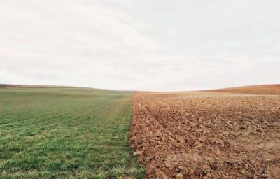 В Тверской области 7 гектаров пахоты возвращены в сельхозоборот