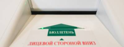 Электронные урны на выборах в Петербурге получат лишь 20% участков