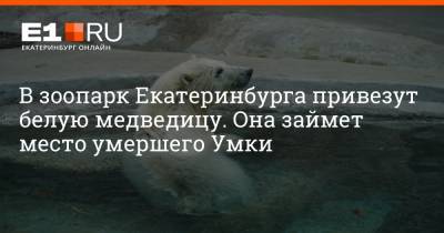 В зоопарк Екатеринбурга привезут белую медведицу. Она займет место умершего Умки