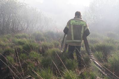 В Югре дожди помогли потушить все лесные пожары — площадь снизилась в 300 раз