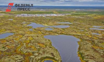 До конца года два месторождения на Ямале выставят на торги