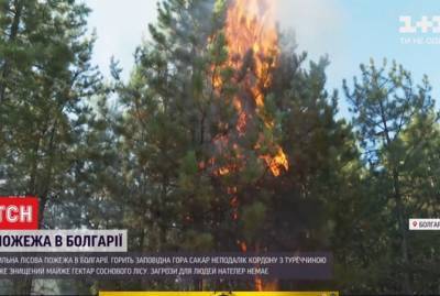 В Болгарии горит заповедная гора Сакар