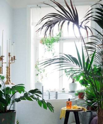 Растения в ванной комнате: 20+ примеров из интерьеров