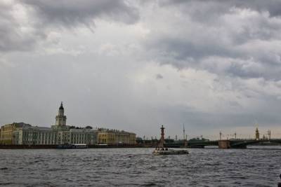 В СК развенчали миф о Петербурге как «столице расчлененки»