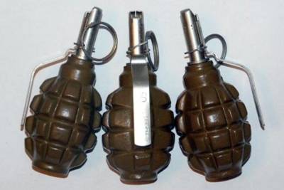 Житель Алтая получил реальный срок за бросок муляжа гранаты в полицию