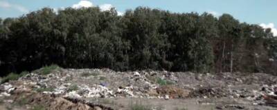 Под Сарапулом мусорный полигон рекультивируют за 170 млн рублей
