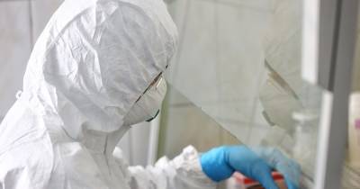 В Калининградской области коронавирусом заболели ещё 229 человек