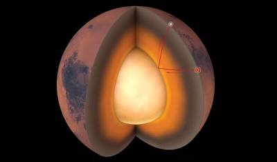 Напоминает мятый персик: ученые впервые описали недра Марса