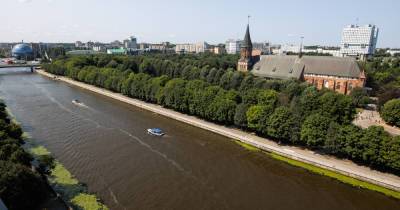 13 идей, как провести выходные в Калининградской области