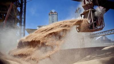 Экспорт зерна из России резко увеличился