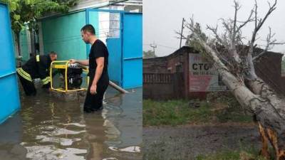 Поврежденные крыши многоэтажек и деревопад: непогода наделала беды в Украине