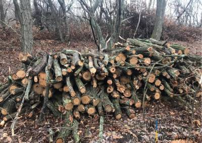 На Луганщине разоблачили должностных лиц, которые "под шумок" масштабных пожаров осуществляли незаконную порубку леса
