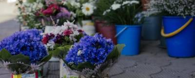 Журналистка выяснила, кому в Новосибирске цветы продают дороже