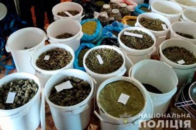 У жителя Николаевщины обнаружили 40 кг конопли и плантацию