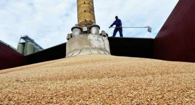 Россия снизит пошлины на экспорт пшеницы с 28 июля
