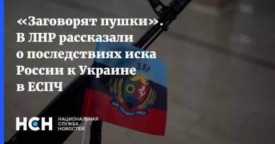 «Заговорят пушки». В ЛНР рассказали о последствиях иска России к Украине в ЕСПЧ