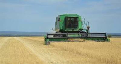 В Луганске заявили, что ожидают хороший урожай пшеницы. Уборочная уже стартует