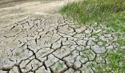 Засуха стала причиной введения режима ЧС в Свердловской области