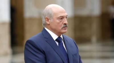 “Гусь за Беларусь”: украинские активисты потребовали осудить Лукашенко