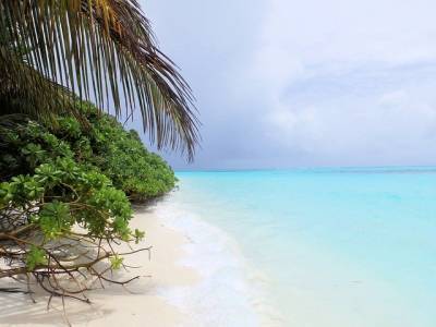 Мальдивы вводят для путешественников новый налог и мира