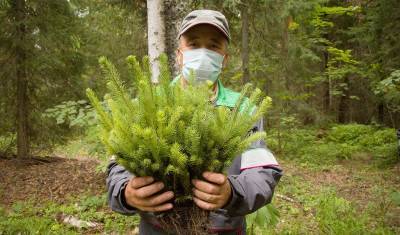 Дышите глубже: «Башнефть» делает весомый вклад в озеленение Башкирии