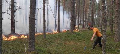 Парфенчиков дал оценку спасателям и волонтерам, ведущим борьбу с лесными пожарами в Карелии