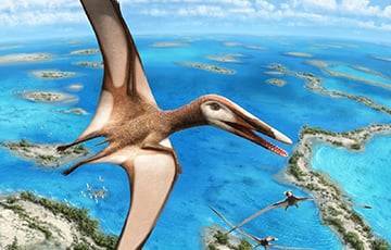 Ученые: Едва вылупившиеся птерозавры уже умели летать