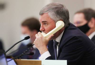 Володин предложил ужесточить наказание за телефонное мошенничество