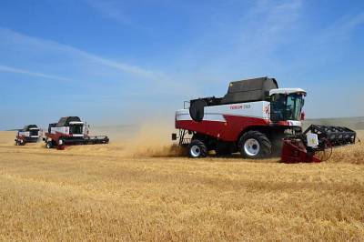 С полей Ростовской области собрали уже более 7 миллионов тонн зерновых