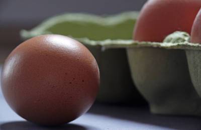 Птицефабрики сократили производство яиц на 23%