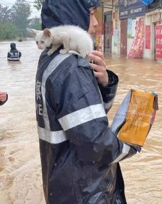 В Китае из-за проливных ливней в зоне бедствия оказались более трех миллионов человек