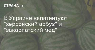В Украине запатентуют "херсонский арбуз" и "закарпатский мед"