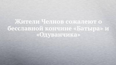 Жители Челнов сожалеют о бесславной кончине «Батыра» и «Одуванчика»