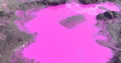 В поле под Ровно обнаружили разлив ядовито-фиолетовой жидкости (ФОТО)