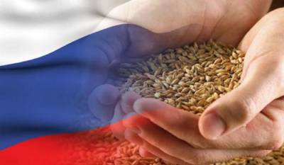 Эксперт: Российская пшеница конкурентоспособна по отношению к пшенице из стран ЕС
