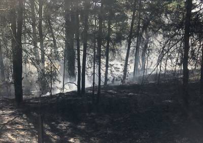 В Рязанском районе загорелась трава в лесу