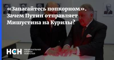 «Запасайтесь попкорном». Зачем Путин отправляет Мишустина на Курилы? - nsn.fm - Россия - Япония