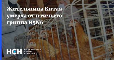 Жительница Китая умерла от птичьего гриппа H5N6