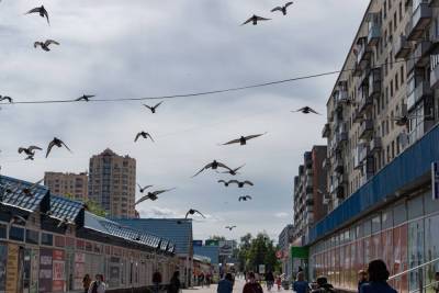 За пять лет в Пскове возвели 860 жилых домов