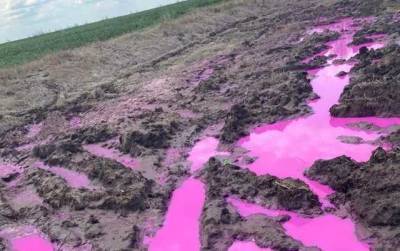После взрыва на химзаводе вблизи Ривне появились загадочные ярко-розовые лужи: ГСЧС узнала, вредна ли жидкость