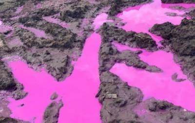 «Опасный химикат»: на Ровенщине установили происхождение розовой жидкости