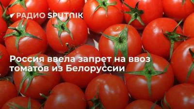 Россия ввела запрет на ввоз томатов из Белоруссии