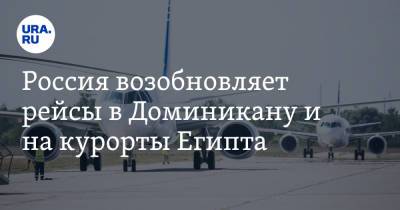 Россия возобновляет рейсы в Доминикану и на курорты Египта