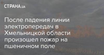 После падения линии электропередач в Хмельницкой области произошел пожар на пшеничном поле