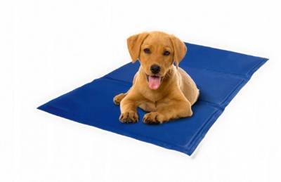 Охлаждающий коврик для собаки: полезная вещь или уловка маркетологов?