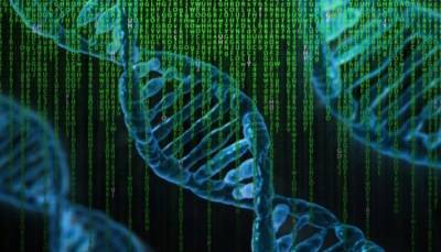 Американские ученые установили процент уникальности генома человека